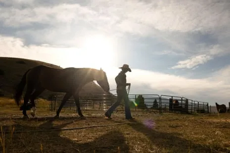 Discover the US Cowgirls Transforming Contemporary Farm Life