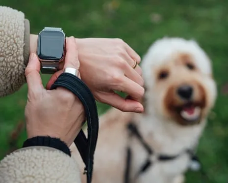 The Truth About Wearable Tech? Life Improves Without a Nagging Gadget on Your Arm
